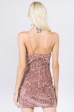 Load image into Gallery viewer, La Vie en Rose Dress
